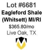 4-Well Eagleford Shale Unit (Whitsett)