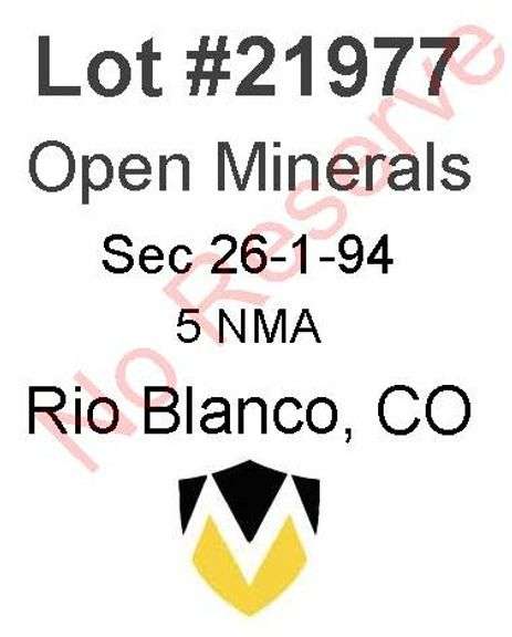 Rio Blanco, CO Open Minerals 26-1-94 (5 NMA)