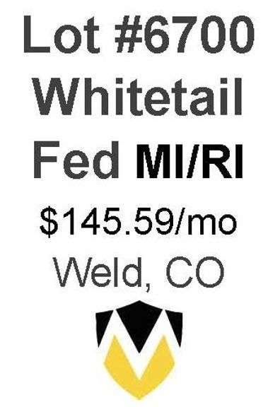 Whitetail Fed