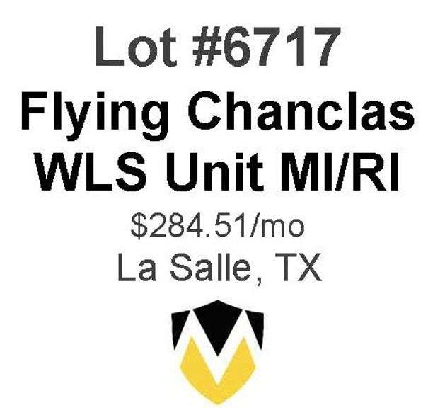 Flying Chanclas/WLS Unit