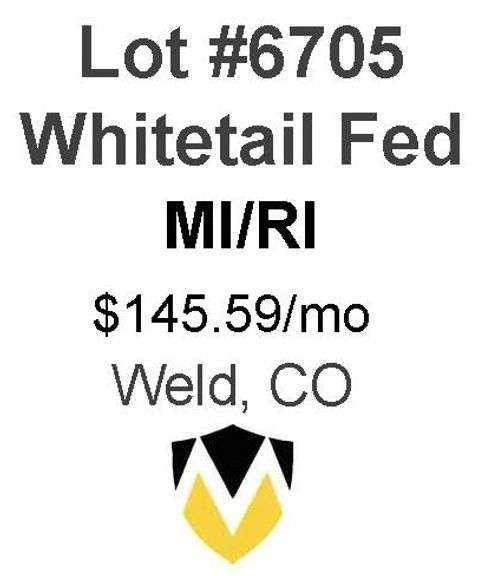 Whitetail Fed