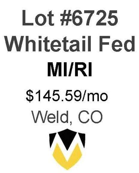 Whitetail Fed