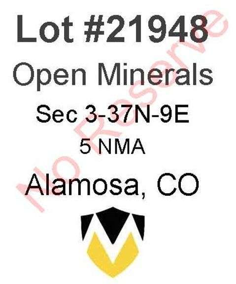 Alamosa, CO Open Minerals 3-37N-9E (5 NMA)