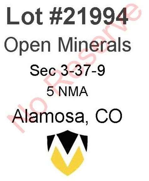 Alamosa, CO Open Minerals 3-37-9 (5 NMA)