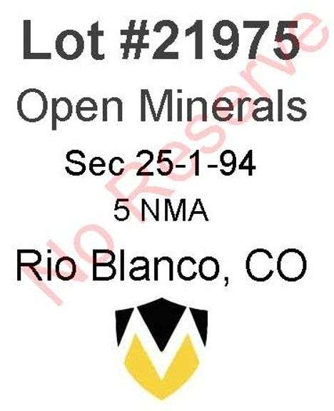 Rio Blanco, CO Open Minerals 25-1-94 (5 NMA)