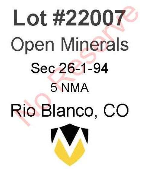 Rio Blanco, CO Open Minerals 26-1-94 (5 NMA)