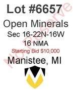 Manistee MI Open Minerals (26 NMA) - SOLD