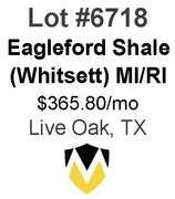 4-Well Eagleford Shale Unit (Whitsett)