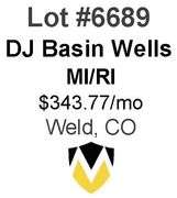 DJ Basin Wells
