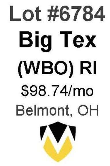 Big Tex 1H, 2H (WBO)