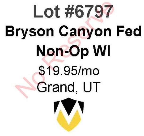 Bryson Canyon Fed Non-Op WI