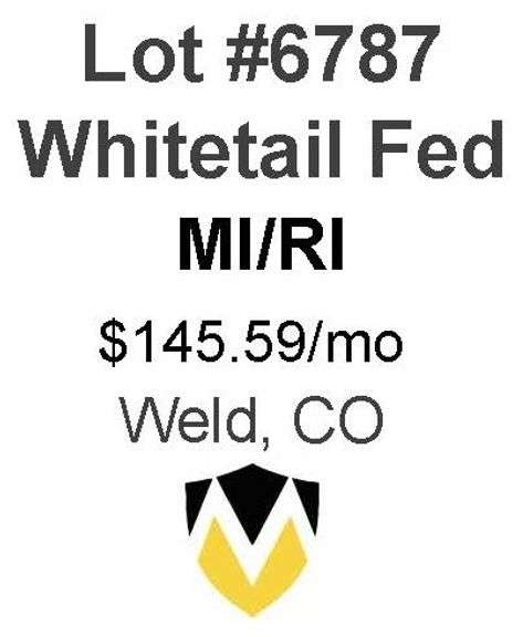 Whitetail Fed