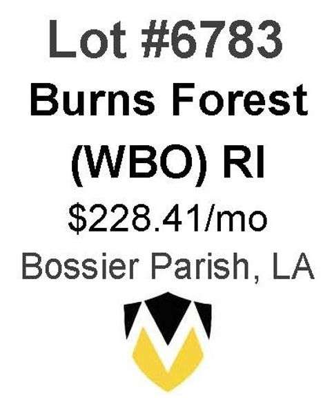 Burns Forest Wells (WBO)