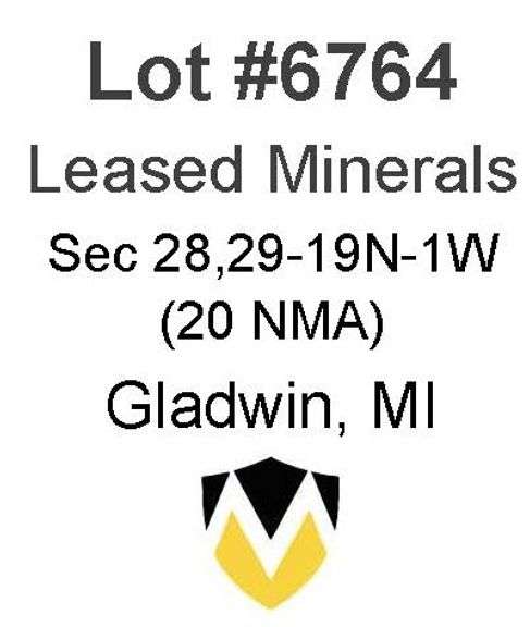 Gladwin, MI Leased Minerals (20 NMA)