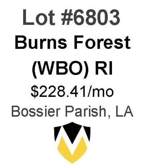 Burns Forest Wells (WBO)