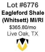 4-Well Eagleford Shale Unit (Whitsett)