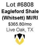 4-Well Eagleford Shale Unit (Whitsett)