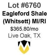 4-Well Eagleford Shale Unit (Whitsett)