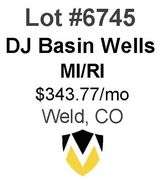 DJ Basin Wells