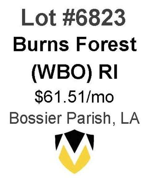 Burns Forest Wells (WBO)