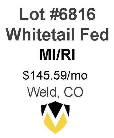 Whitetail Fed