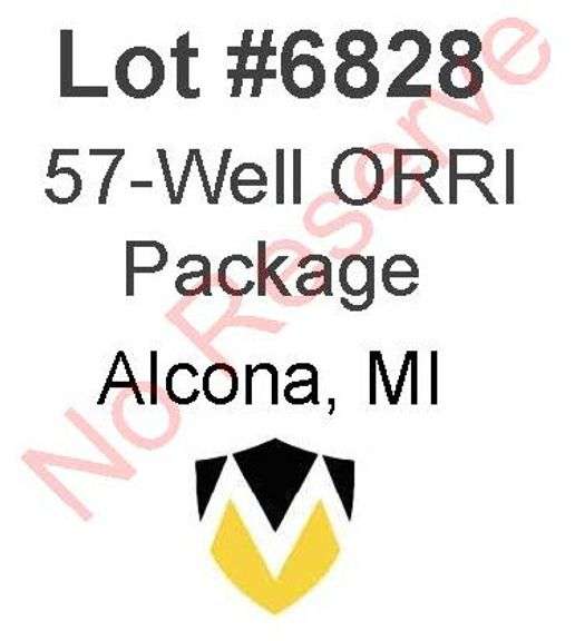 Alcona, MI 57-Well ORRI Package