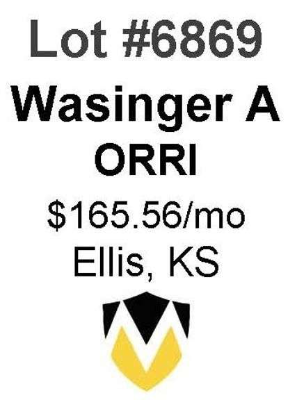 Wasinger A ORRI