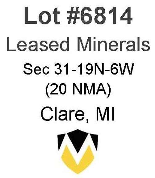 Clare, MI Leased Minerals (20 NMA)