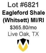4-Well Eagleford Shale Unit (Whitsett)