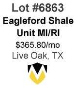 4-Well Eagleford Shale Unit (Whitsett)
