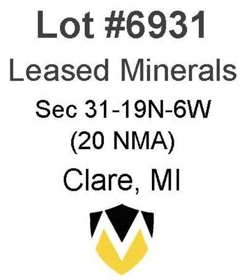 Clare, MI Leased Minerals (20 NMA)