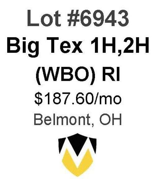 Big Tex 1H, 2H (WBO)