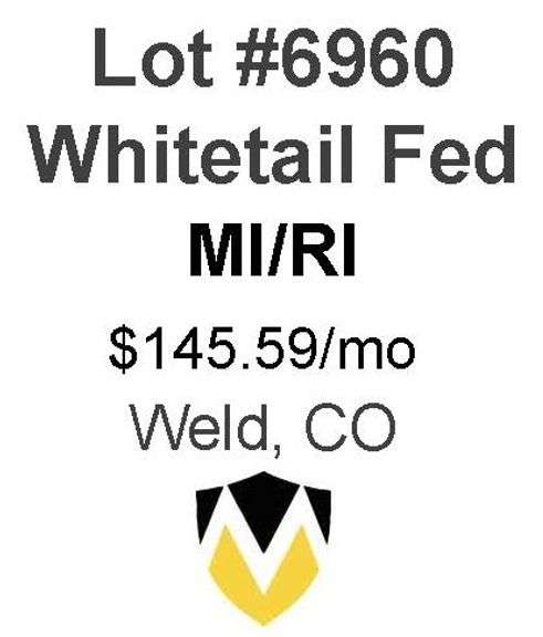 Whitetail Fed