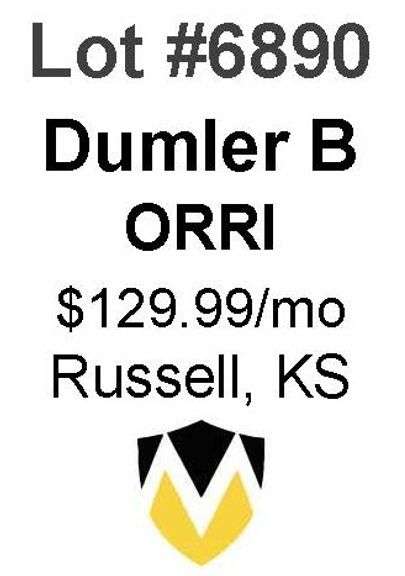 Dumler B ORRI