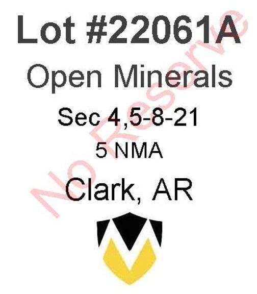 Clark, AR Open Minerals 4,5-8-21 (5 NMA)