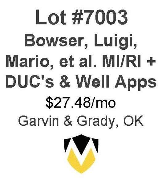 Bowser, Luigi, Mario, et al 11 Well MI/RI + 6  DUCs w/Rig on Location & 3 Woodford well applications