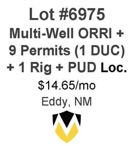 Arcturus, Windfohr, et al - Multiple Well (ORRI) + 9 Permits (1 DUC) 1 RIG running + PUD Locations