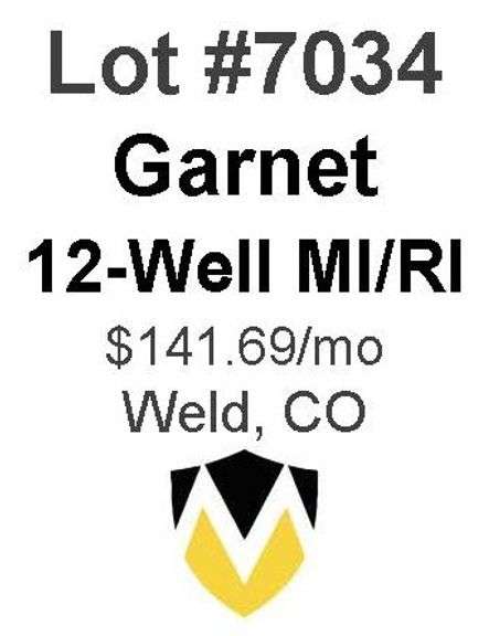 Garnet 12-Well MI/RI