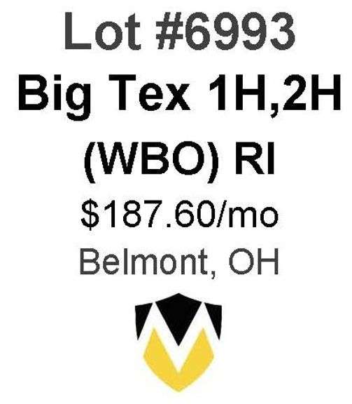 Big Tex 1H, 2H (WBO)