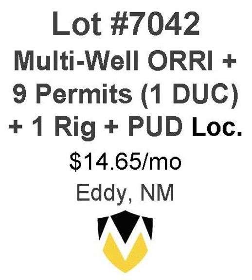 Arcturus, Windfohr, et al - Multiple Well (ORRI) + 9 Permits (1 DUC) 1 RIG running + PUD Locations