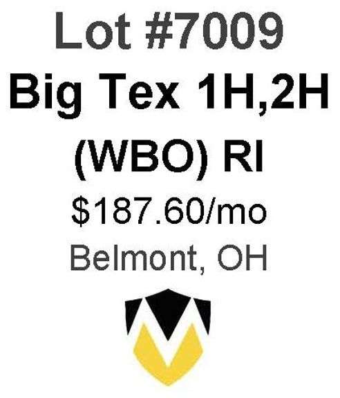 Big Tex 1H, 2H (WBO)
