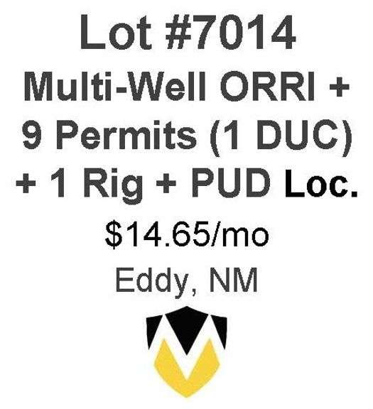 Arcturus, Windfohr, et al - Multiple Well (ORRI) + 9 Permits (1 DUC) 1 RIG running + PUD Locations