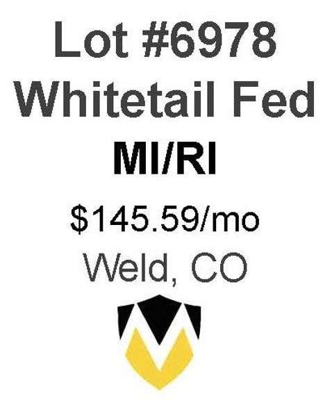 Whitetail Fed