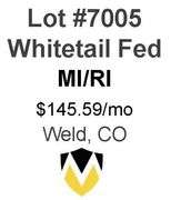 Whitetail Fed