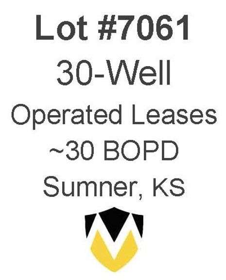 Anson East, South, West Unit B, Bates Unit B, Belsley AB 1