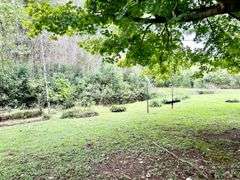 Tract 2 : Beautiful country home and 50+/-acres of peacefulness!