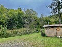 Tract 2 : Beautiful country home and 50+/-acres of peacefulness!