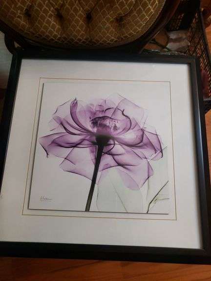 Purple flower picture
