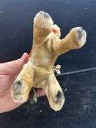 1950’s Wind-Up Toy DONKEY TROTTER with key