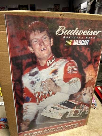 Earnhardt Jr 201 poster